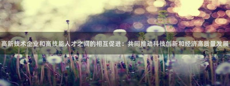 高新技术企业和高技能人才之间的相互促进：共同推动科技创新和经济高质量发展