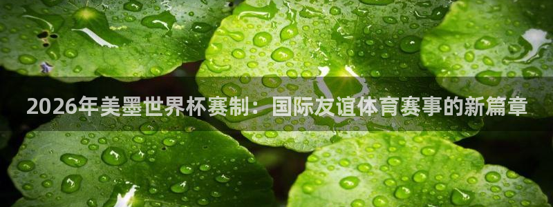 2026年美墨世界杯赛制：国际友谊体育赛事的新篇章