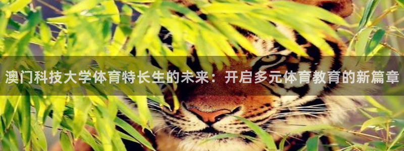 澳门科技大学体育特长生的未来：开启多元体育教育的新篇章