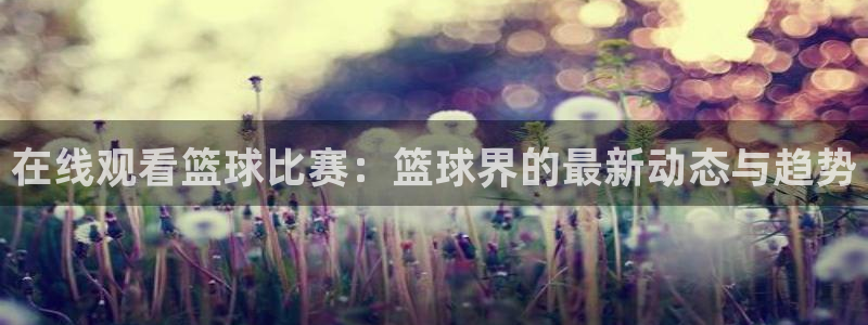 在线观看篮球比赛：篮球界的最新动态与趋势